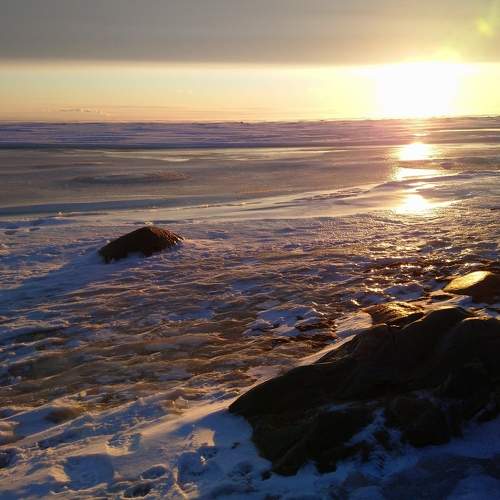 Photo #7129455