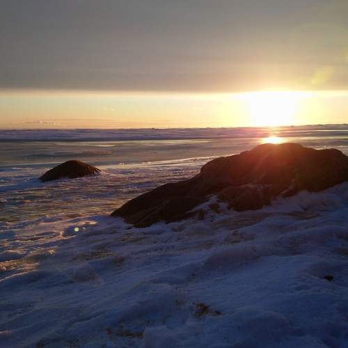 Photo #7129460