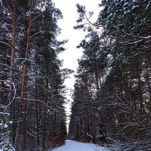 Photo #7129482