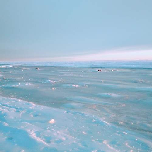 Photo #7129494
