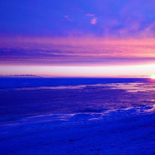 Photo #7129506