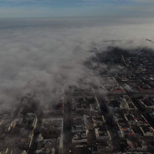 Photo #7129541