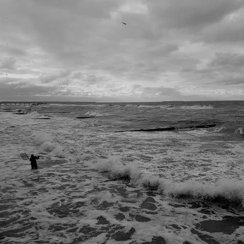Photo #7129545