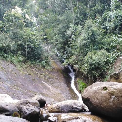 Photo #7129547