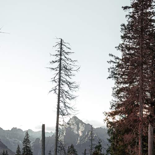 Photo #7129827