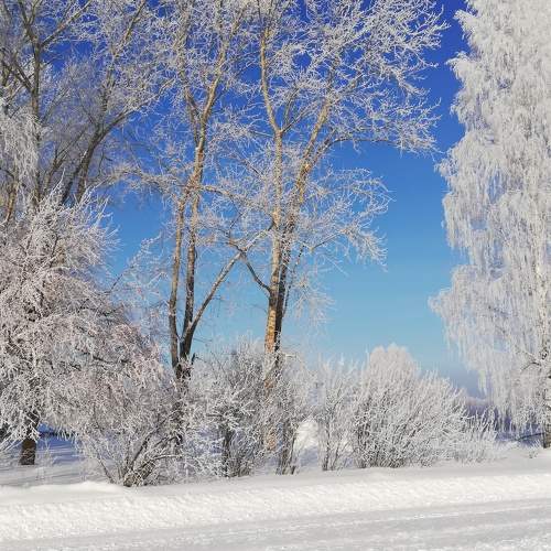 Photo #7130679