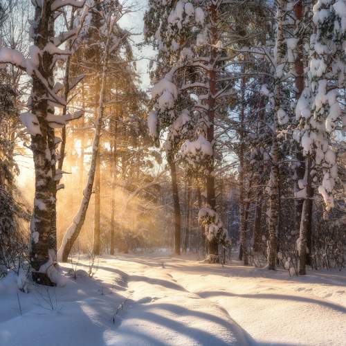 Photo #7131006