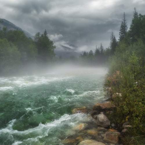 Photo #7131027