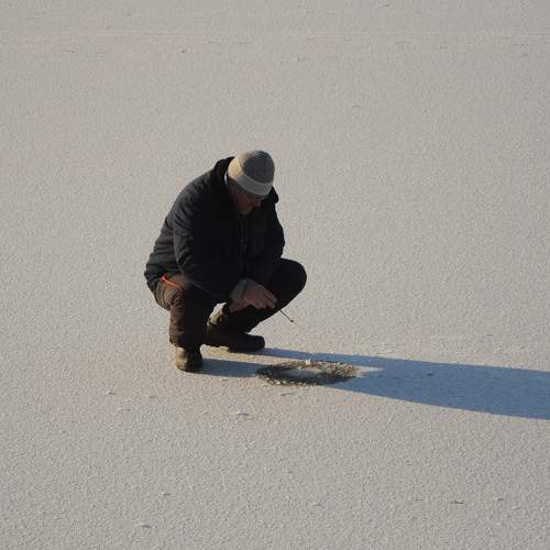 Photo #7131030