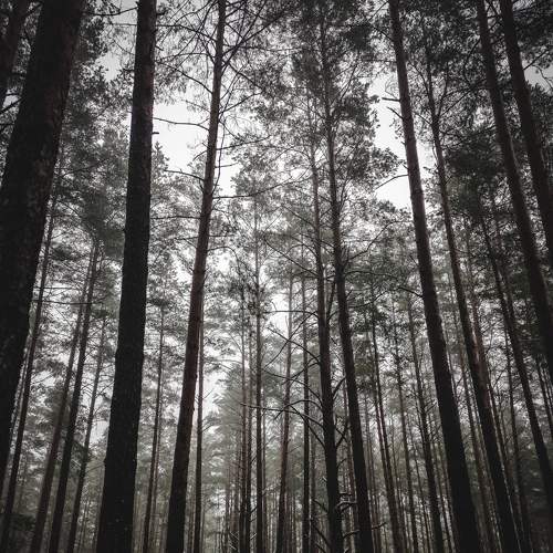 Photo #7131166