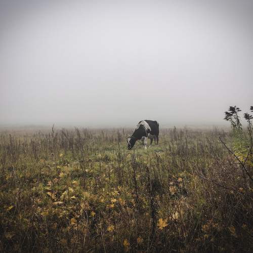 Photo #7131203