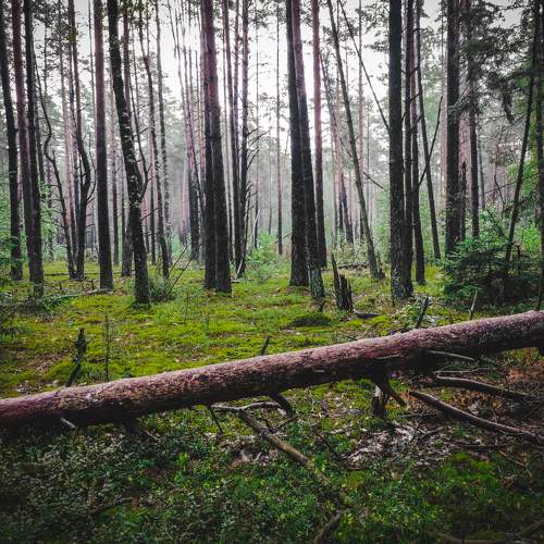 Photo #7131204