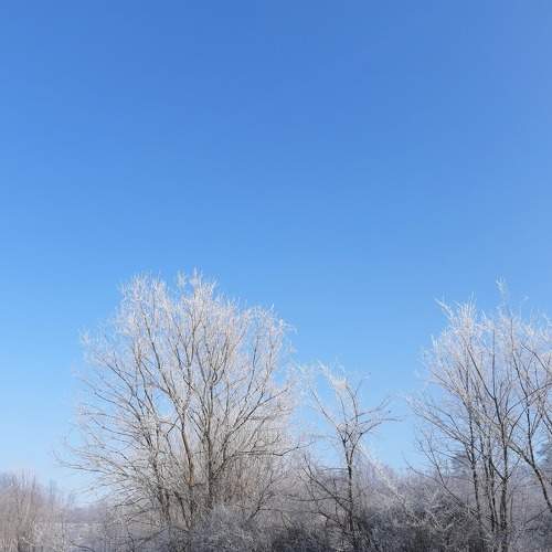 Photo #7131371