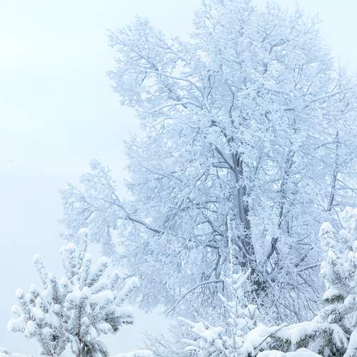 Photo #7131422