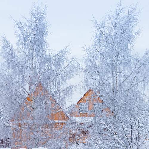 Photo #7131433
