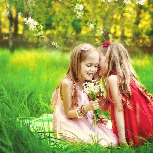 Photo #7131515