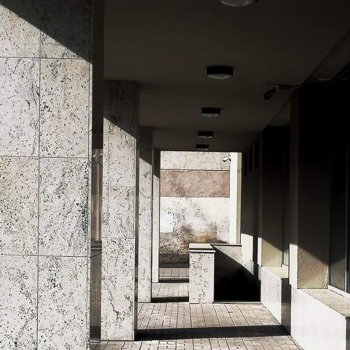 Photo #7131521