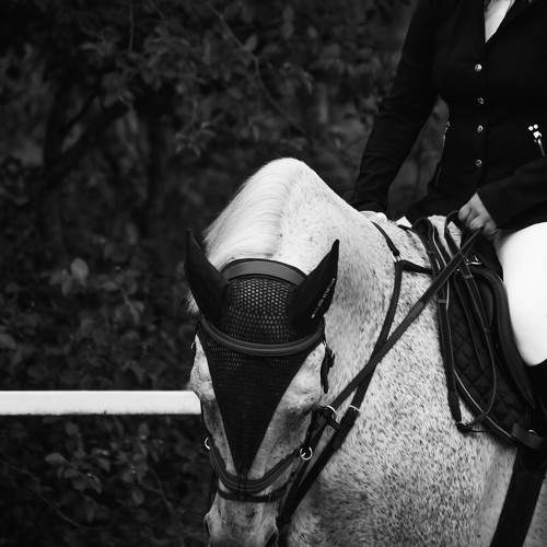 Photo #7131665