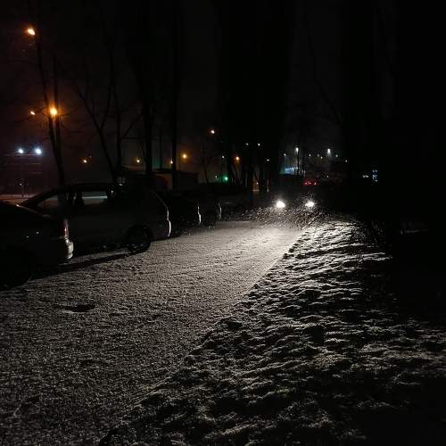 Photo #7131927