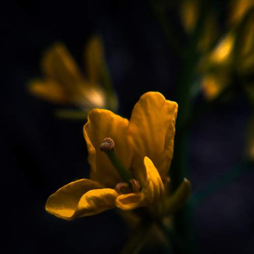 Photo #7132004