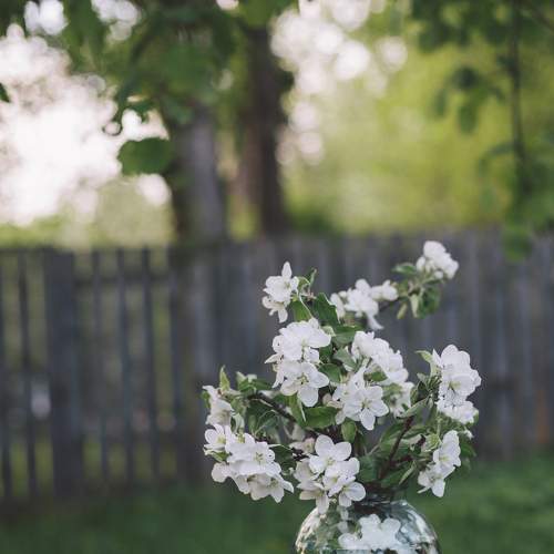 Photo #7132282