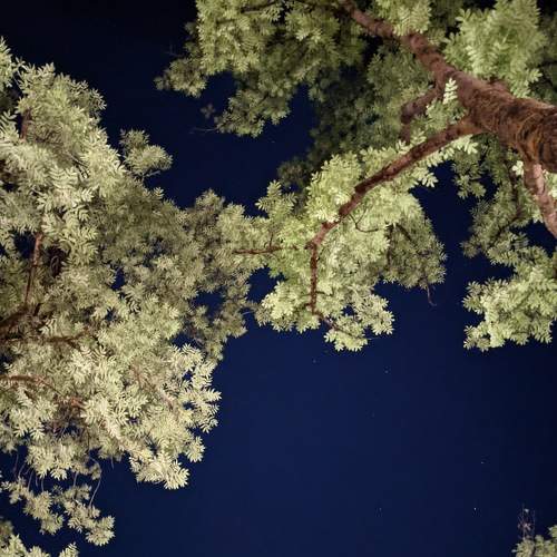 Photo #7132349
