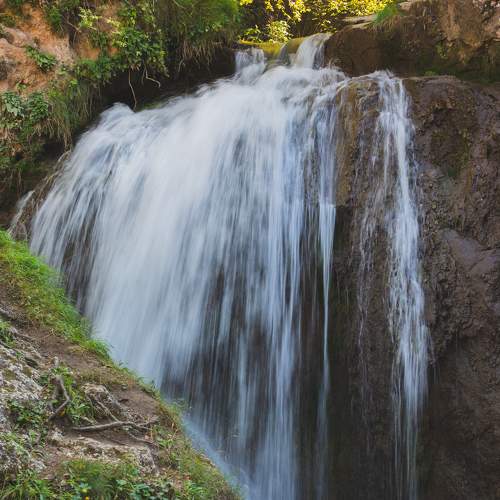 Photo #7132773