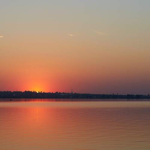 Photo #7132866
