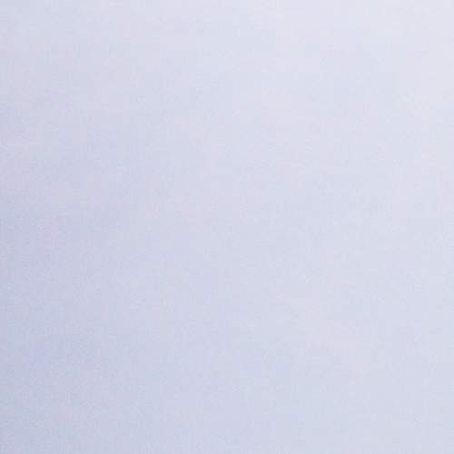 Photo #7133187