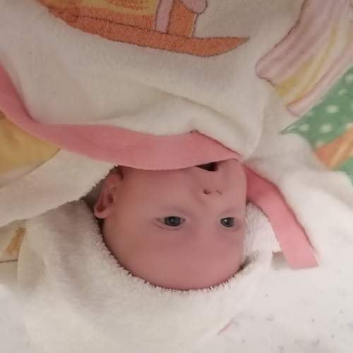 Photo #7133252