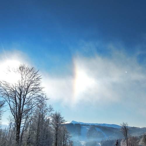 Photo #7133266