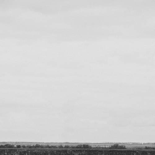 Photo #7133351