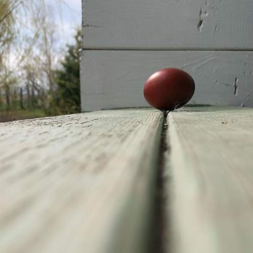 Photo #7133401