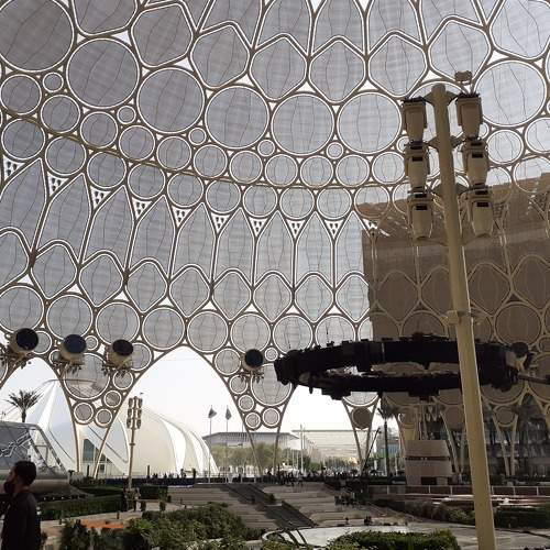Photo #7133431