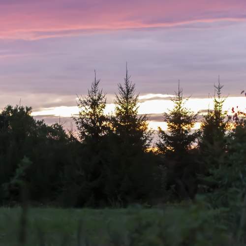 Photo #7133474