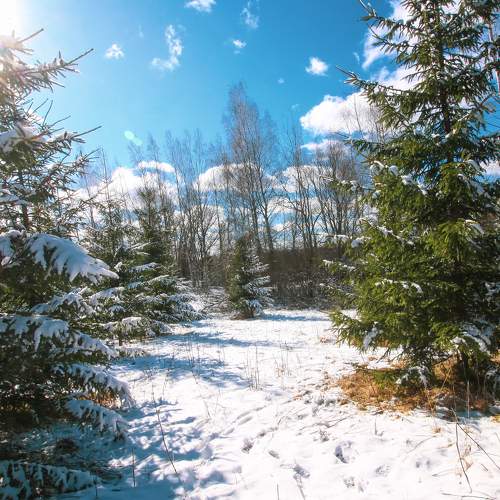 Photo #7133547