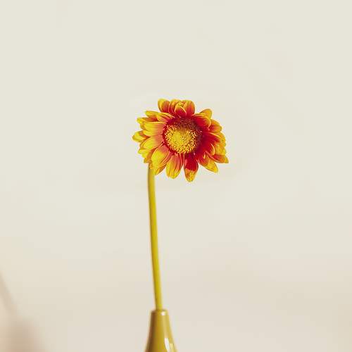 Photo #7133575