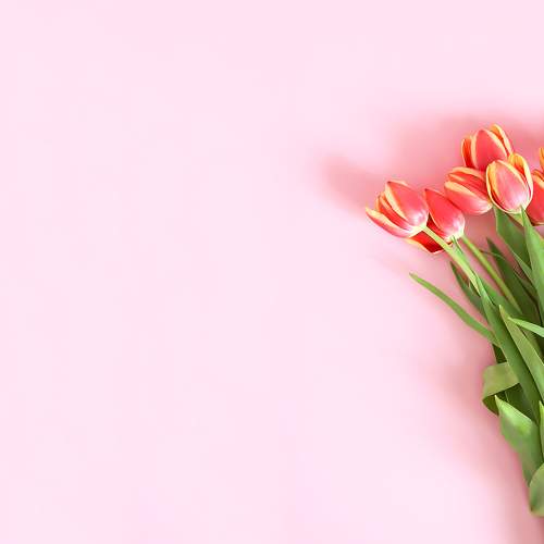 Photo #7133576