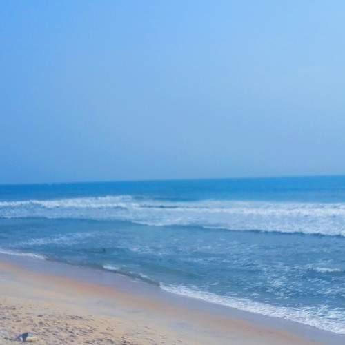 Photo #7133577
