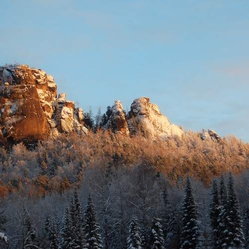 Photo #7133603