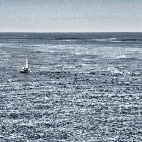Photo #7133626