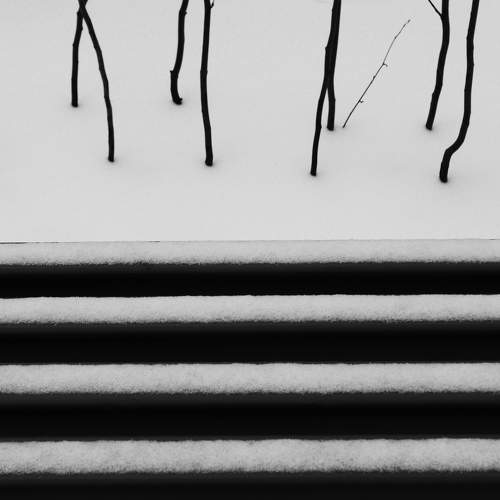 Photo #7133734