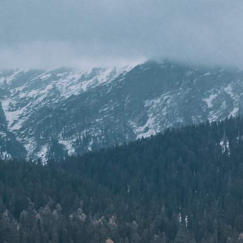 Nature under snow