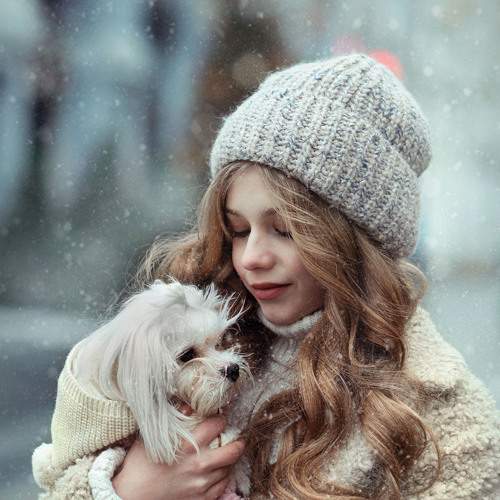 Photo #7133950