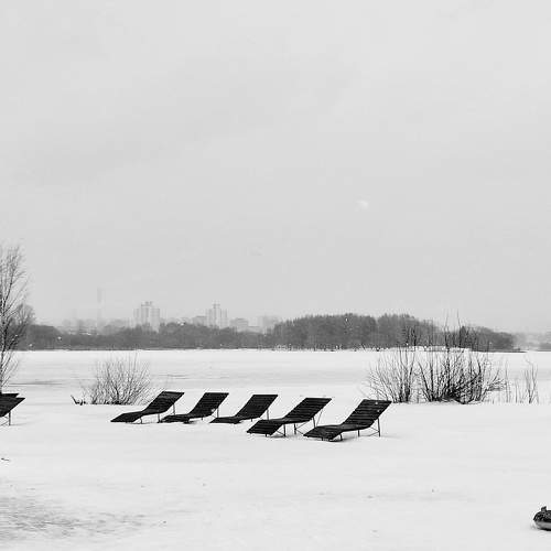 Photo #7134003