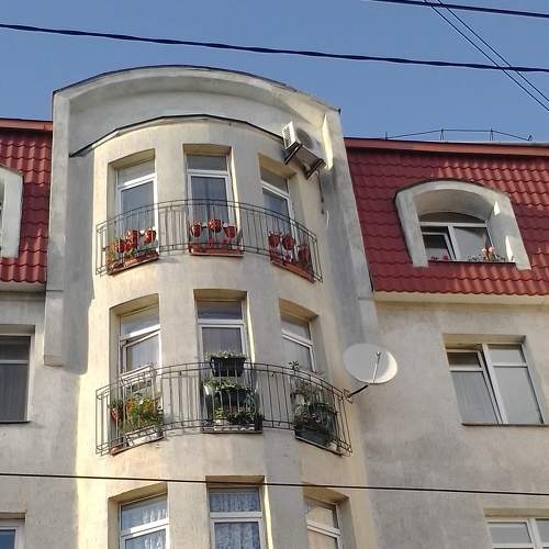 Photo #7134224