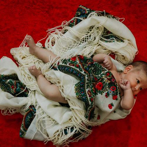Photo #7134543
