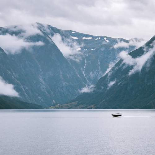 Photo #7134700