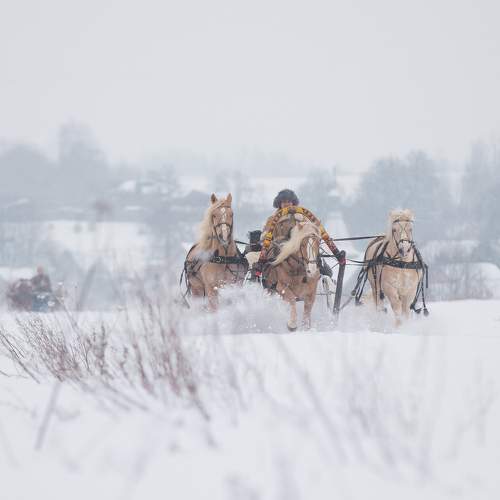 Photo #7134869