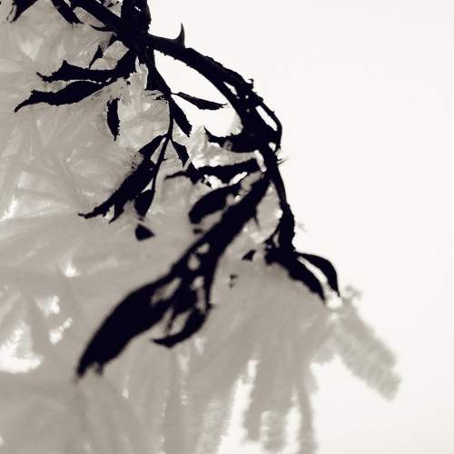 Photo #7135126